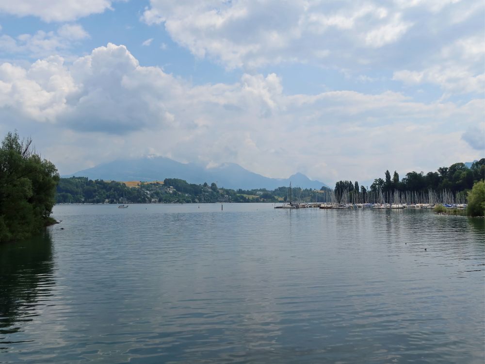 Blick zu Rigi und Vitznauerstock