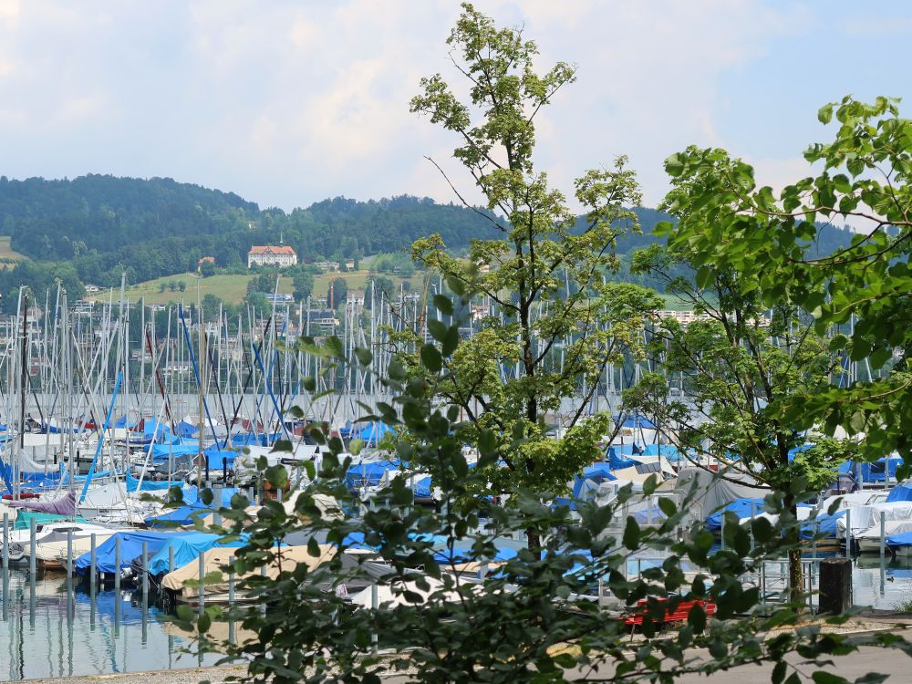 Bootshafen und Kapuzinerinnen-Kloster