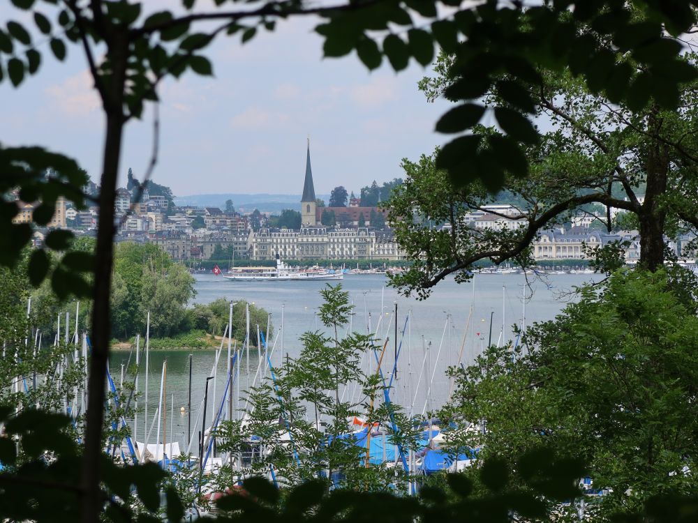 Dampfschiff Schiller und Hofkirche St. Leodegar