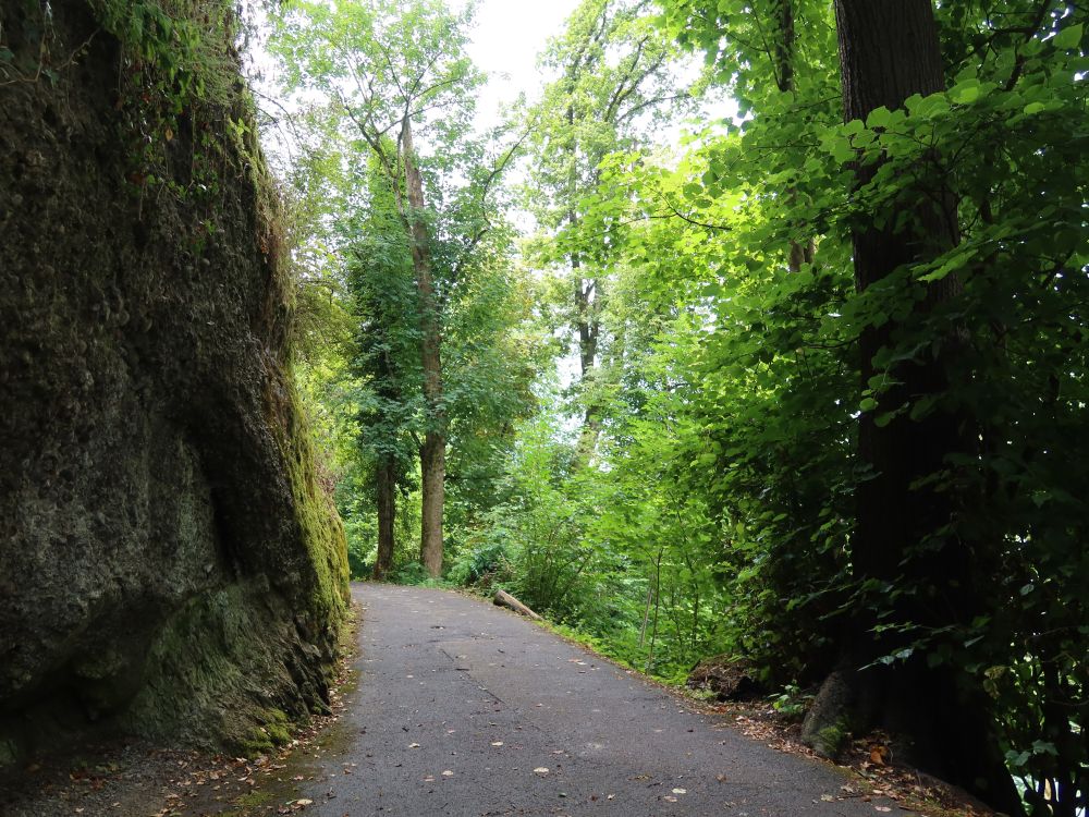 Tribschenhornweg