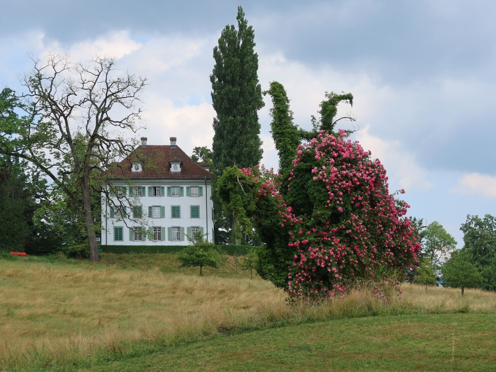 Richard Wagner Museum