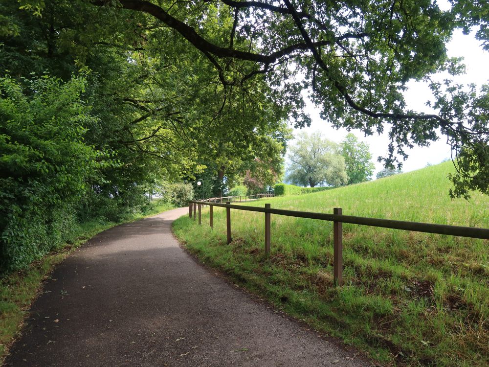 Schönbühlweg