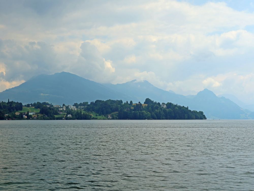 Rigi und Vitznauerstock