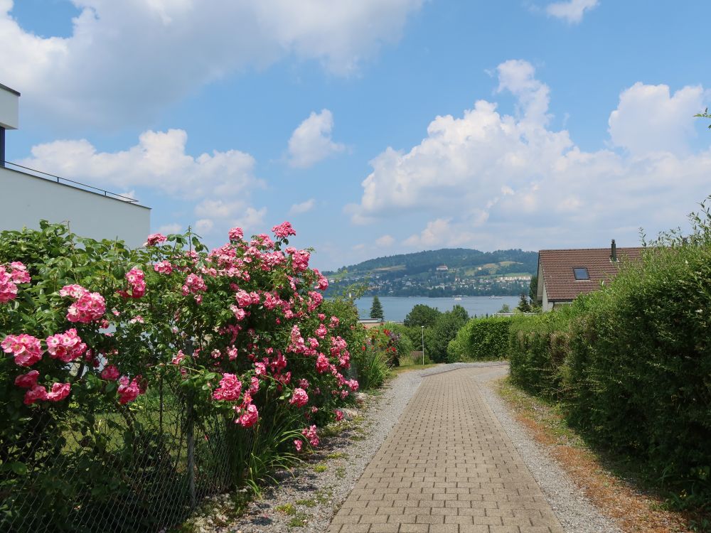 Weg zwischen den Häusern am Schönbühl