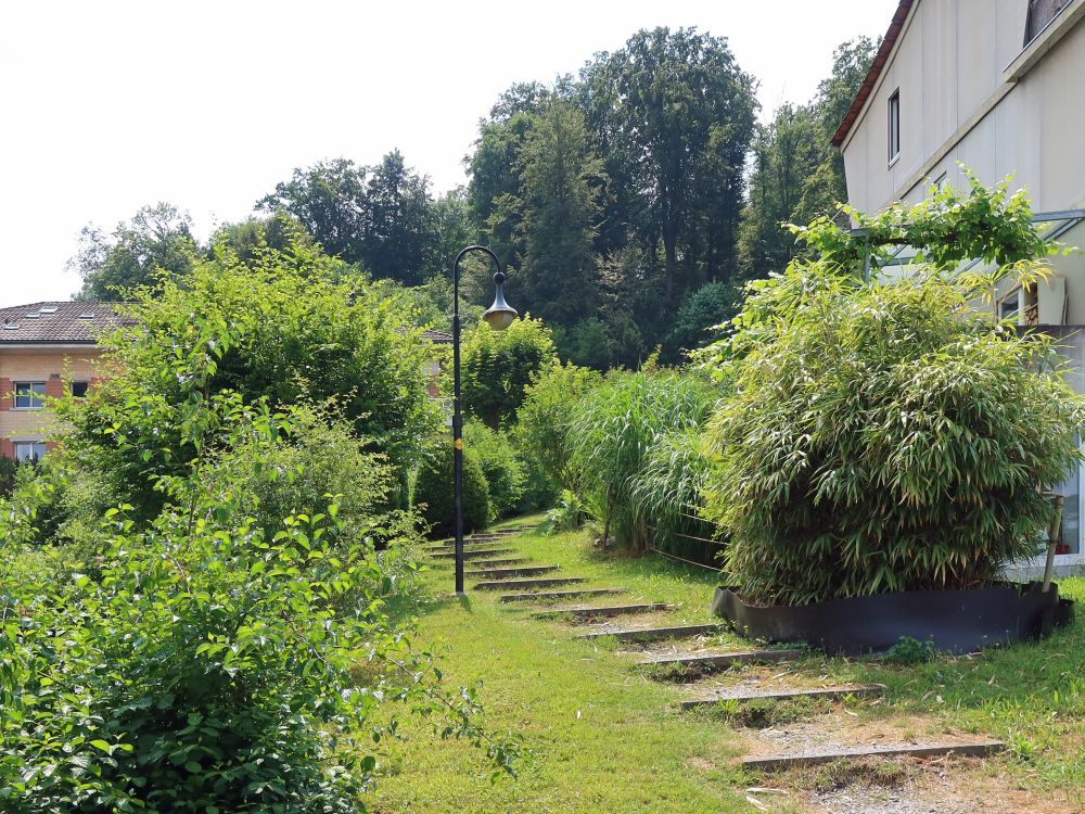 Weg zwischen den Häusern am Schönbühl