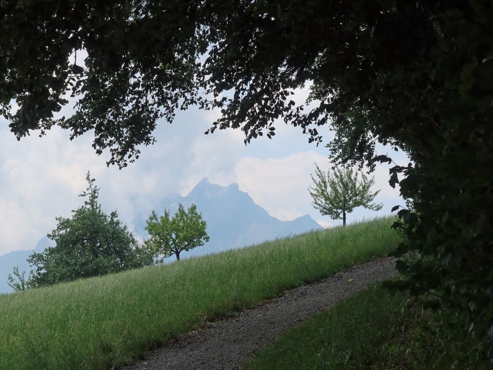 Blick zum Pilatus