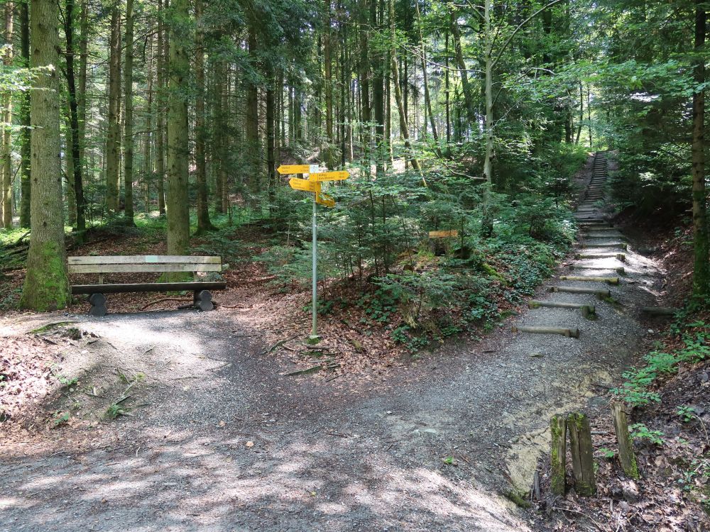 Sitzbank und Treppe im Brieggwald