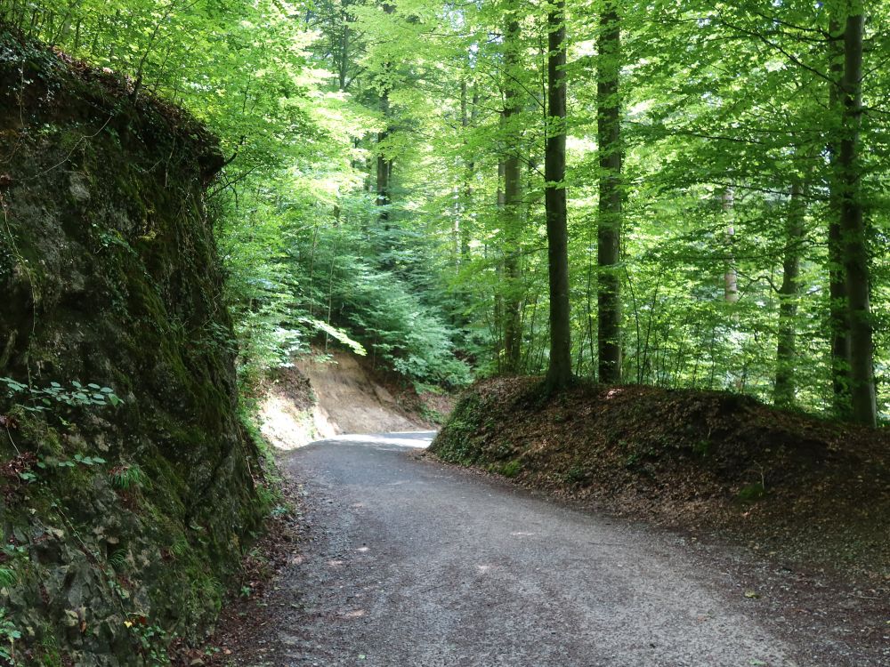 Waldweg