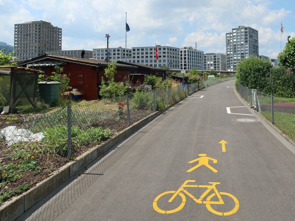 Radweg bei Kriens-Mattenhof