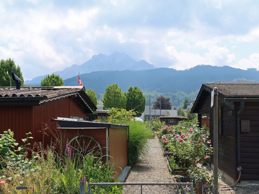 Schrebergärten und Pilatus