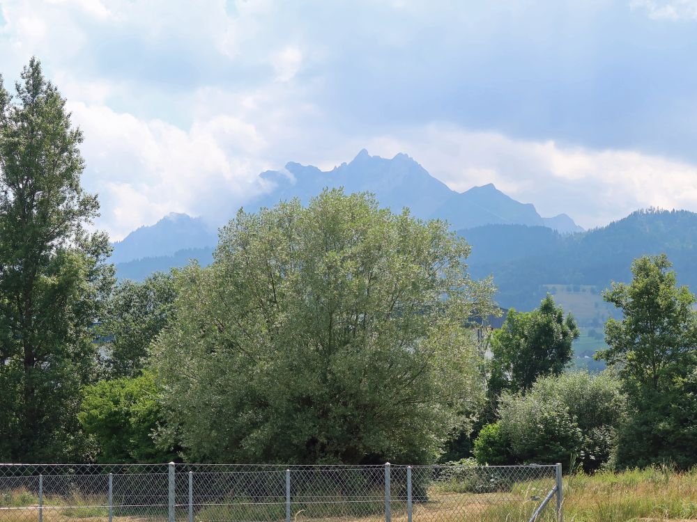 Blick zum Pilatus