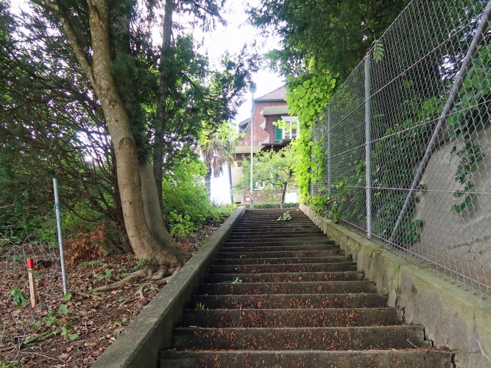 Treppe bei Eichhof