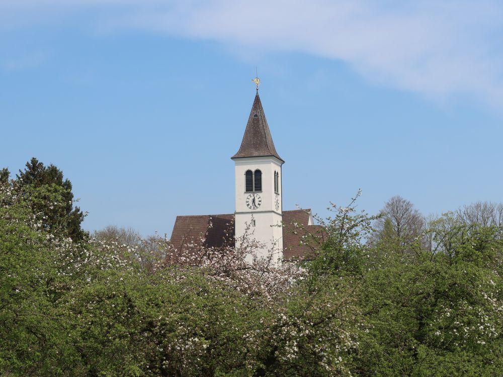 Ev. Kirche Bussnang