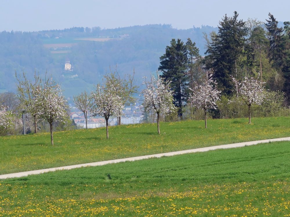 Schloss Weinfelden