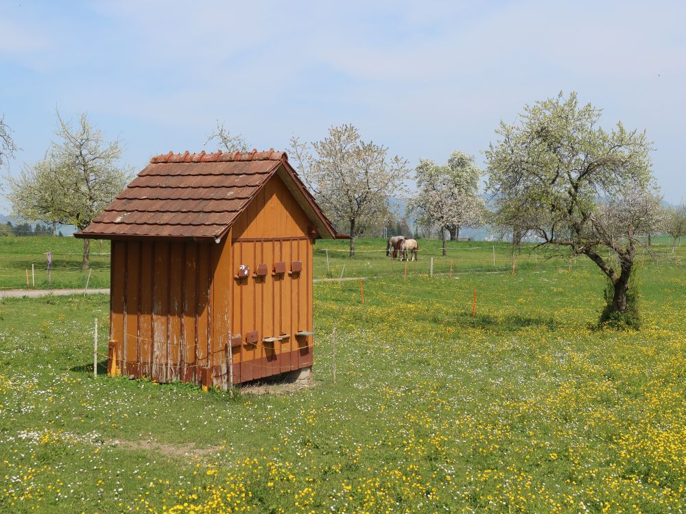 Bienenhäuschen