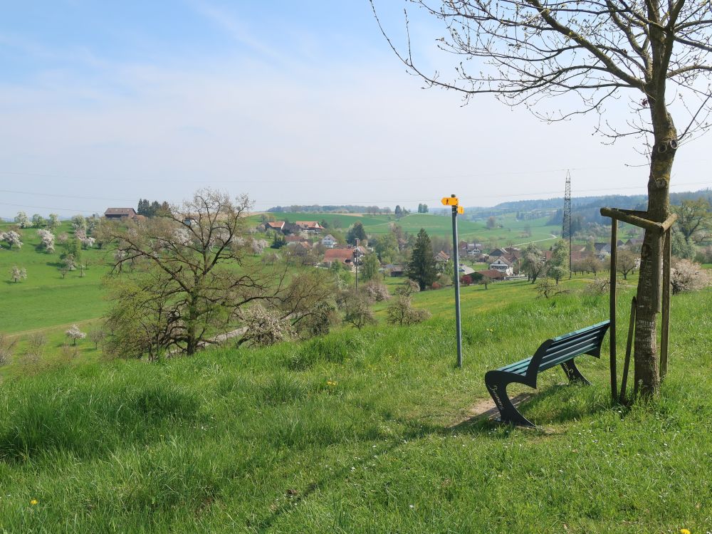 Sitzbank mit Sicht auf Oberbussnang