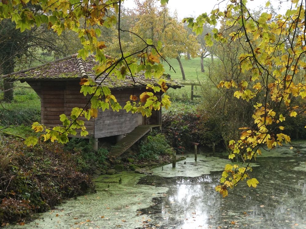 Teich bei Liebenfels