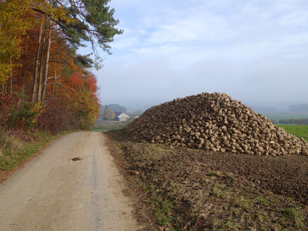 Rbenberg