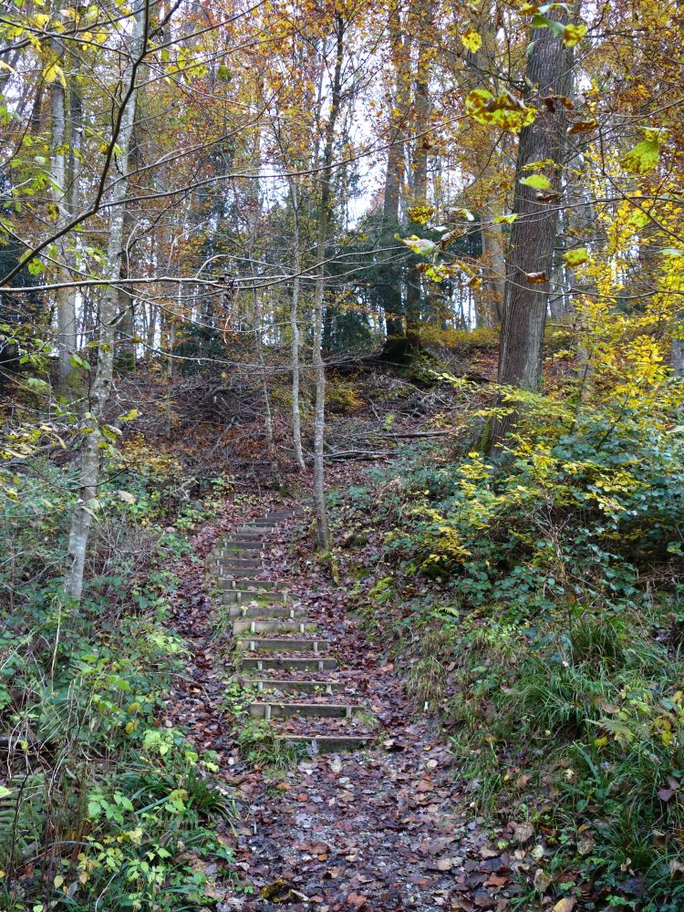 Treppe