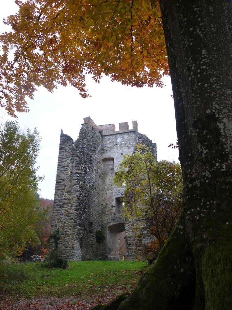 Ruine Neuburg