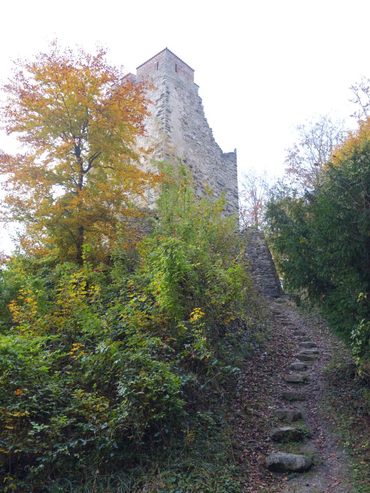 Ruine Neuburg