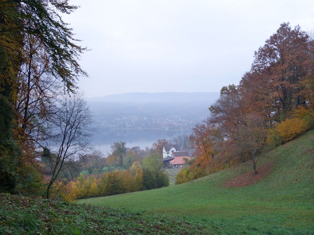 Herbststimmung am Rhein