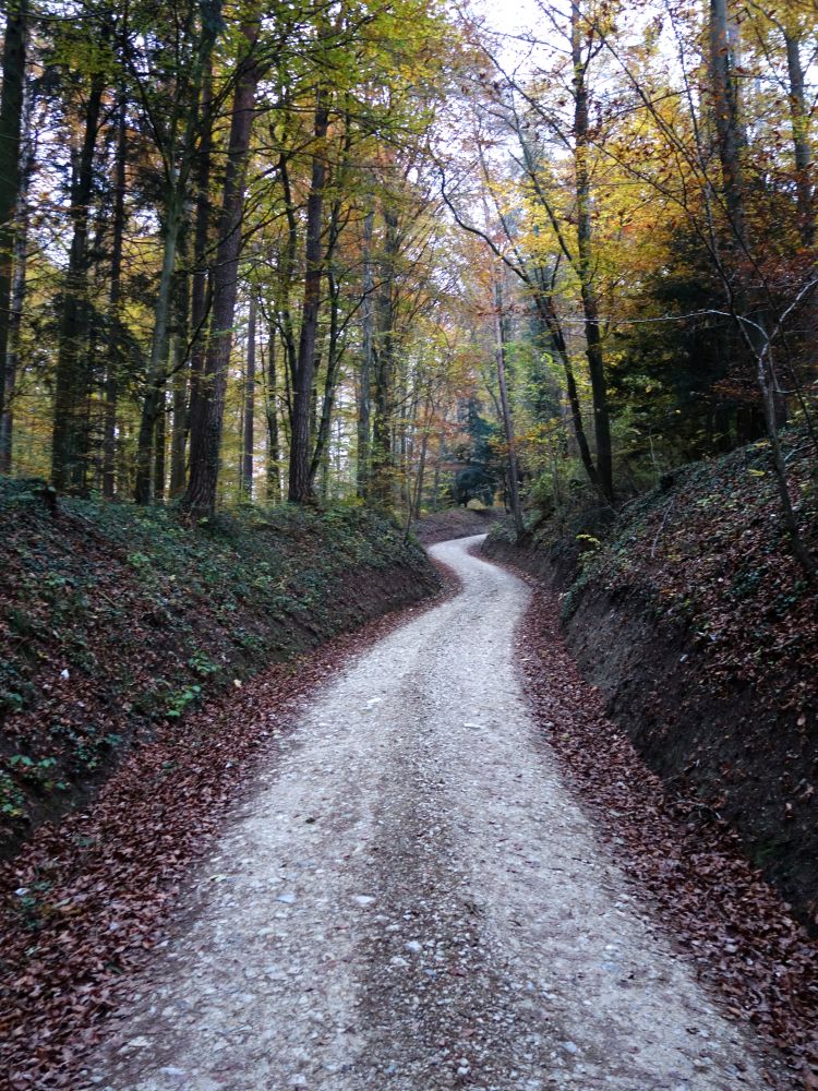 Waldweg