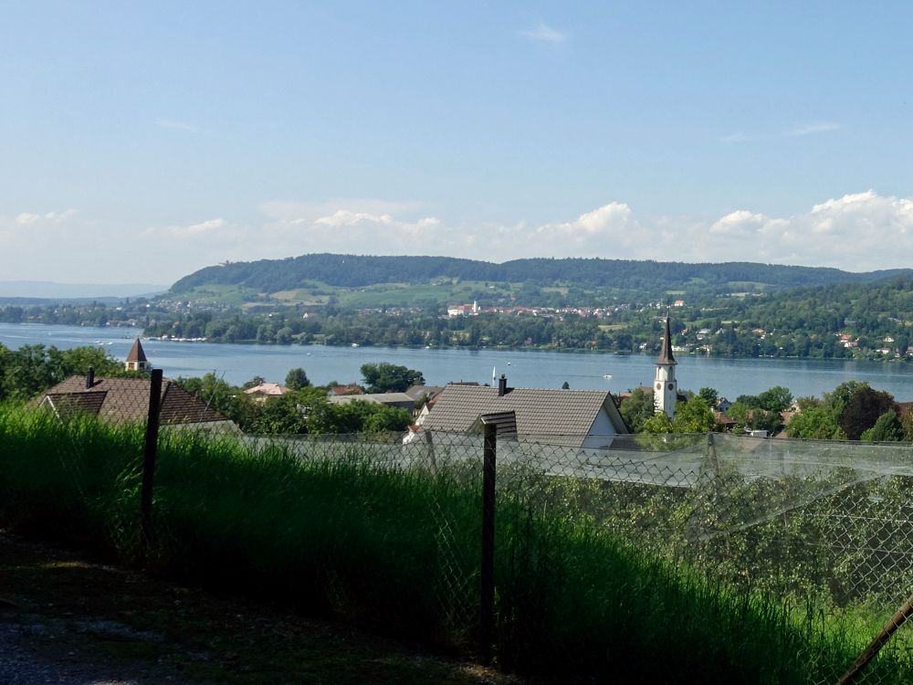 Blick über den Rhein Richtung Öhningen