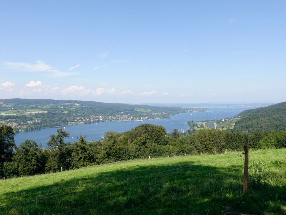 Blick auf den Rhein