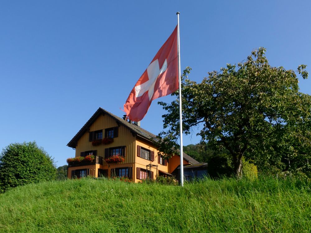 Haldenhof mit Schweizerflagge