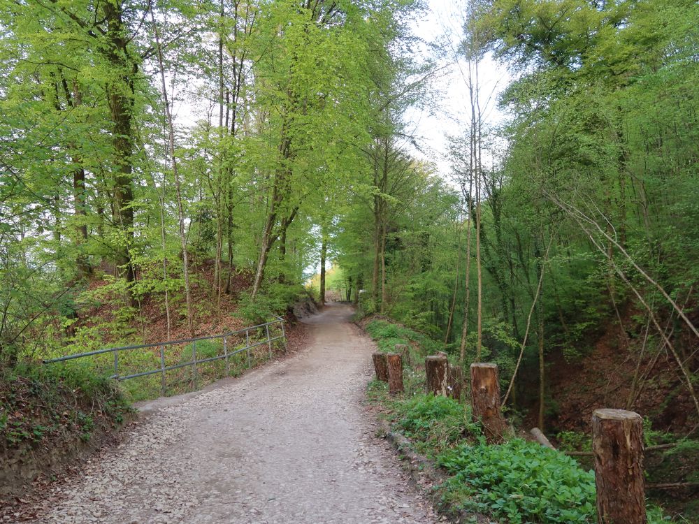 Waldweg