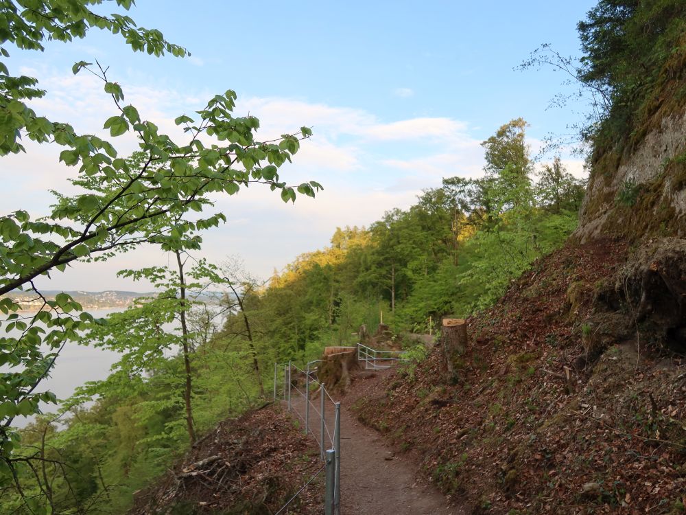 Pfad am Berghang