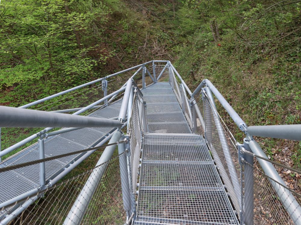 Eisensteg