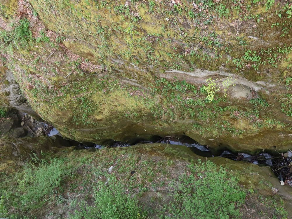 Schlucht