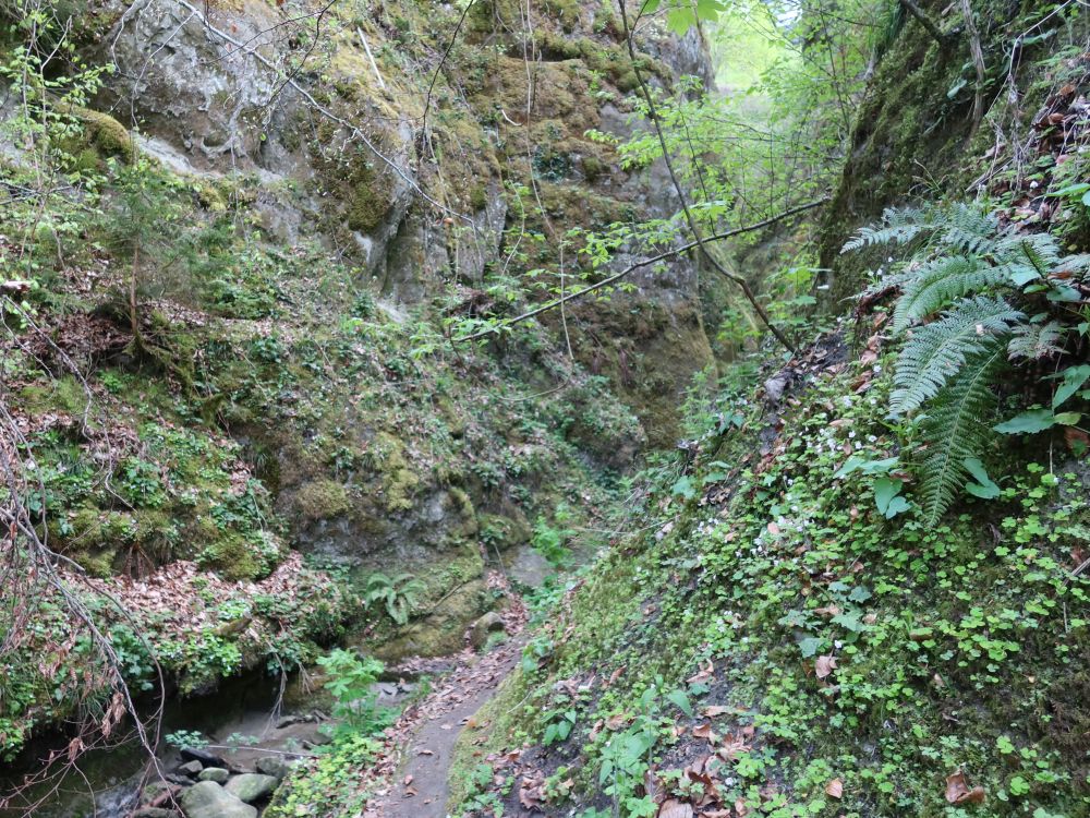 Schlucht