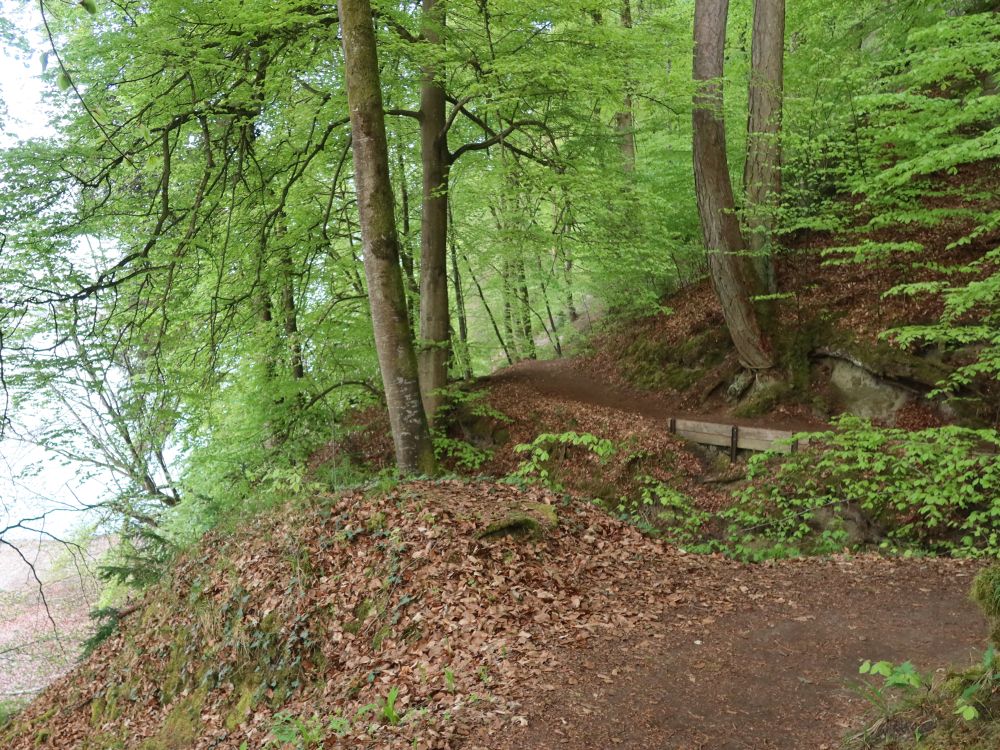 Pfad am Seeufer