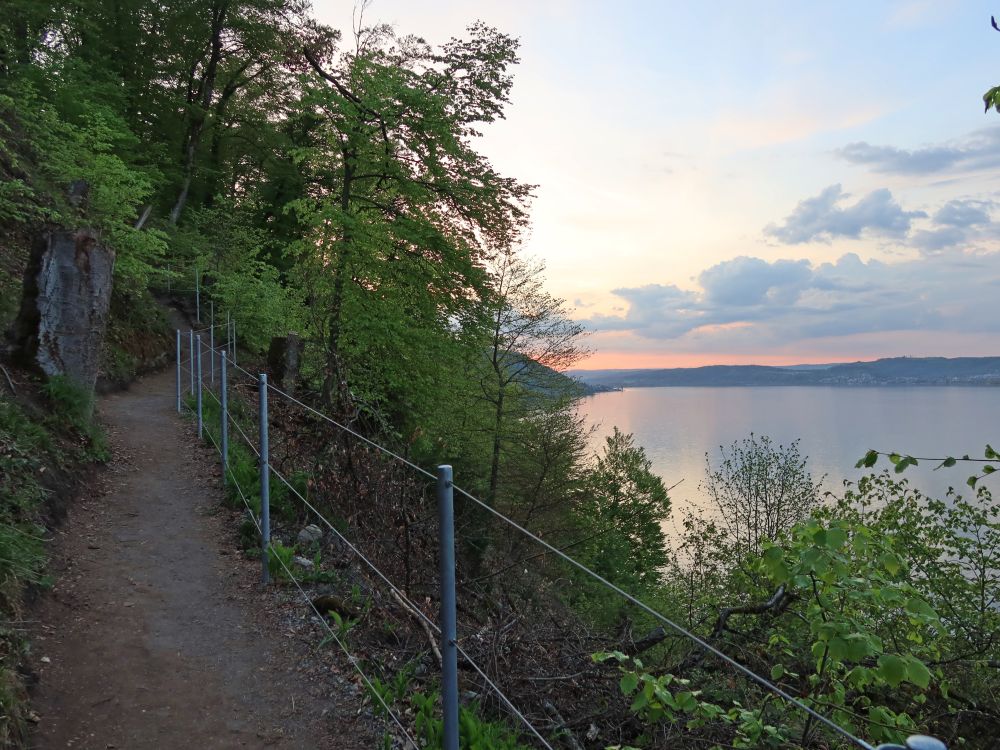 Pfad am Berghang