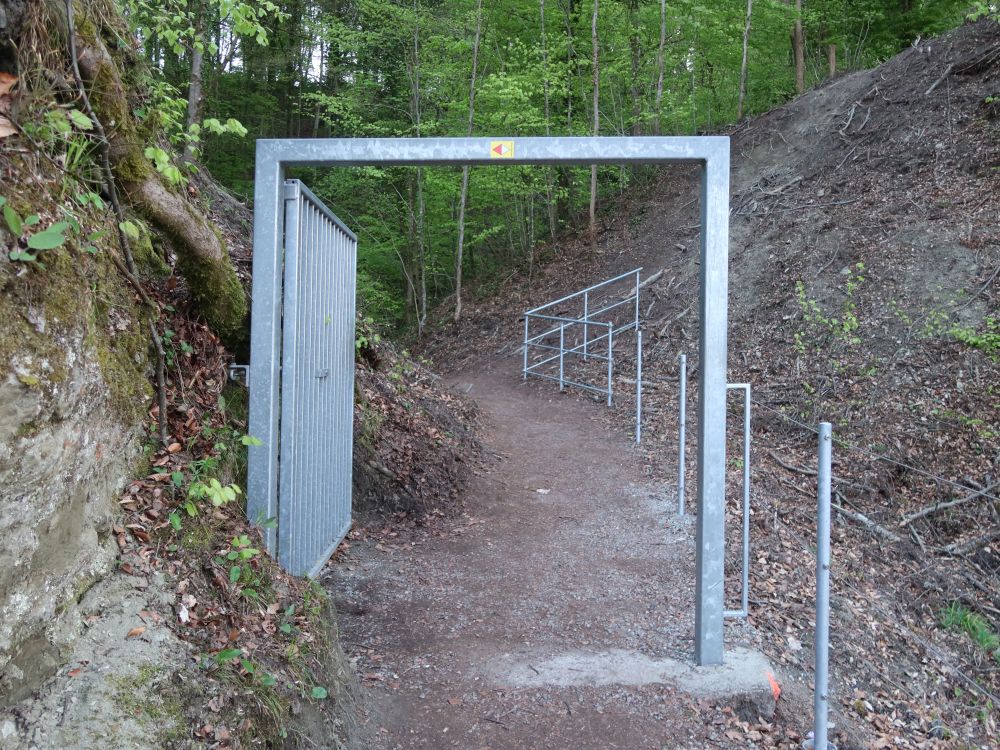 Eingangstor