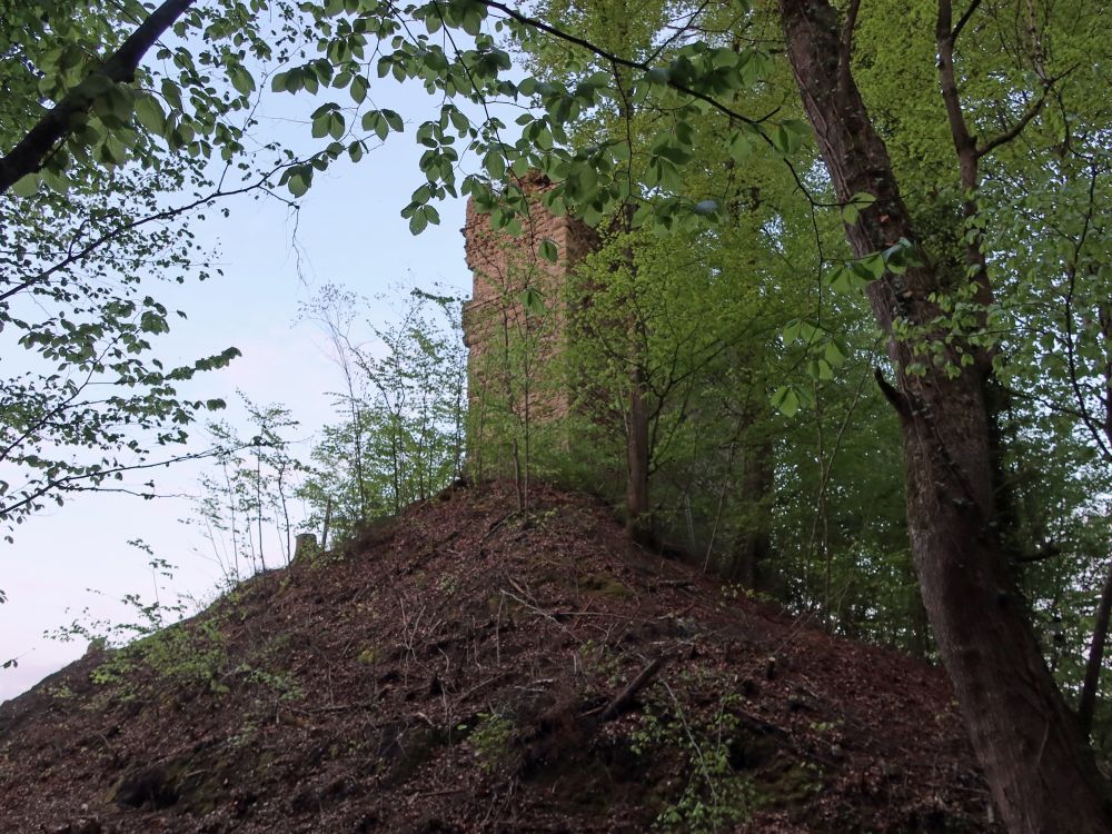 Ruine Kargegg
