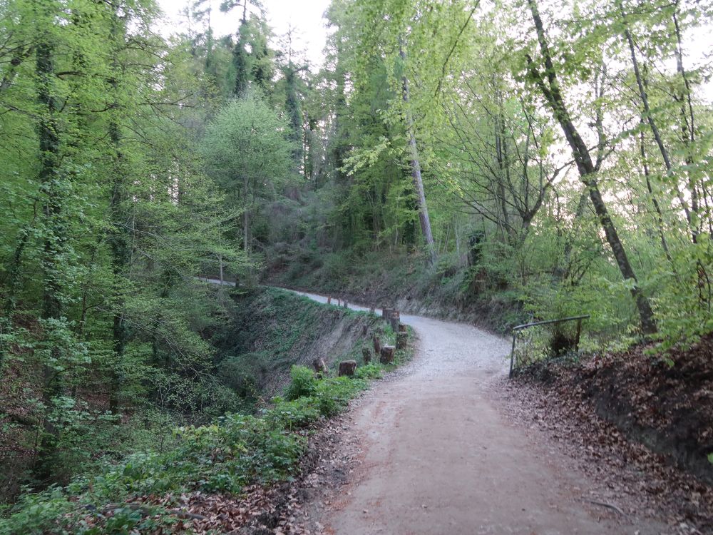 Schluchtweg