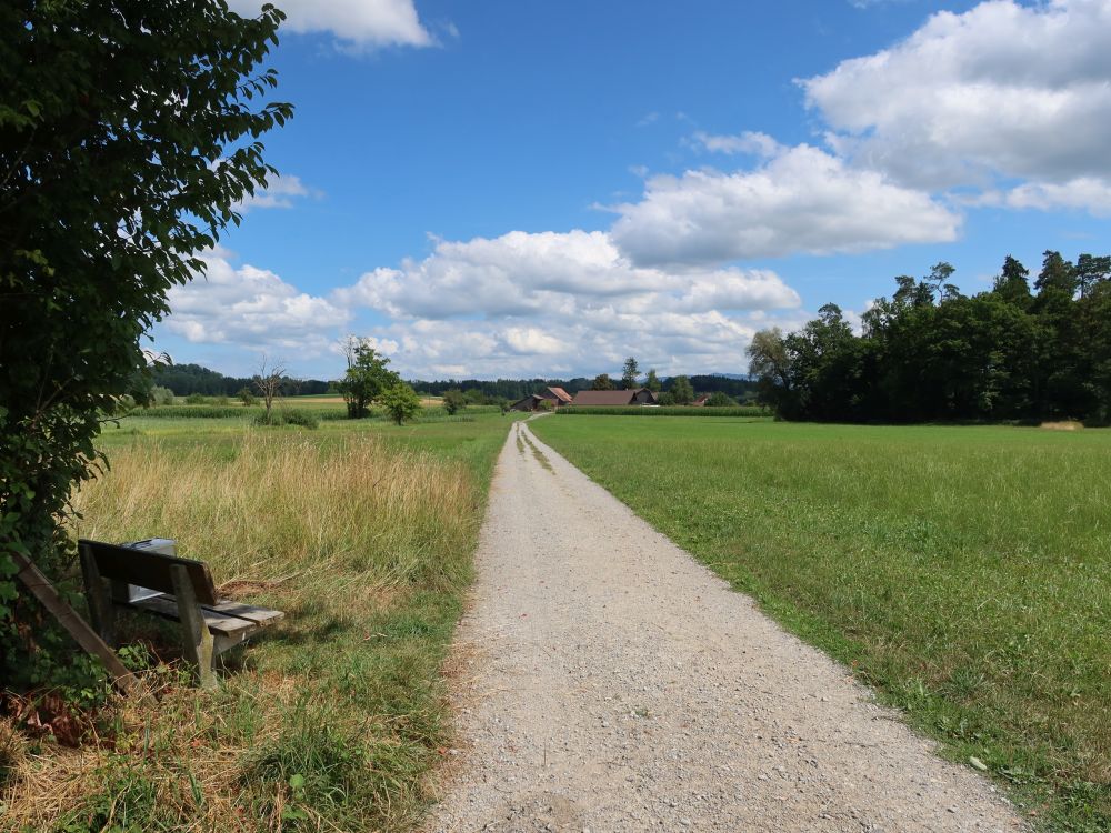 Hasplenstrasse nach Grischhei