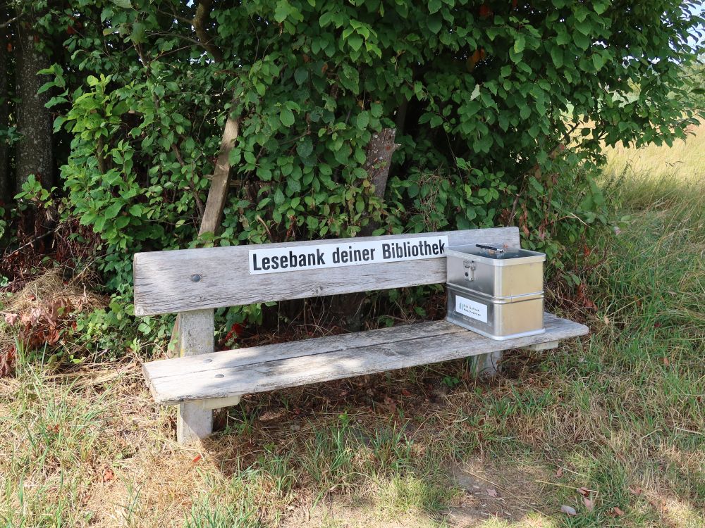 Lesebank mit Bücherkiste