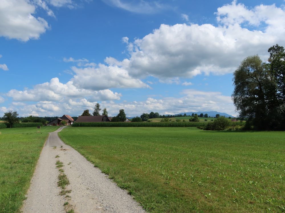 Hasplenstrasse nach Grischhei