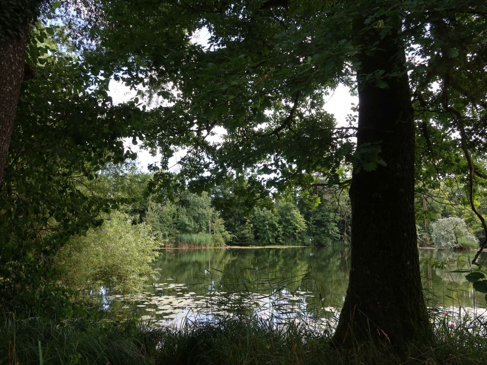 Kleiner See Lorze