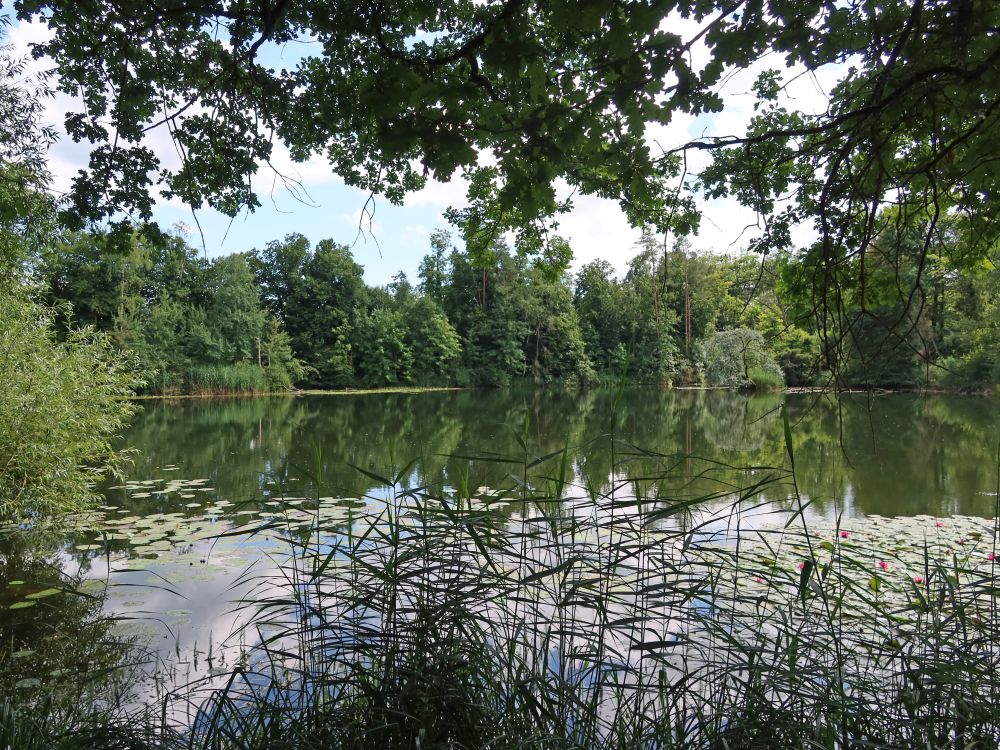 Kleiner See Lorze