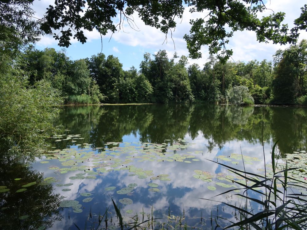 Kleiner See Lorze