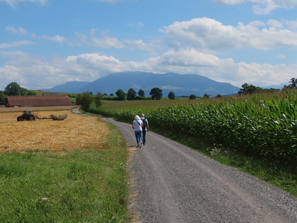 Grischheistrasse und Rigi