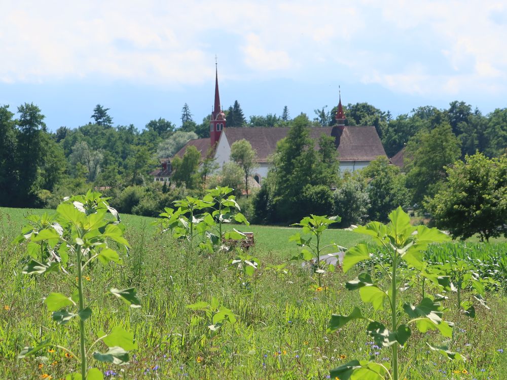 Kloster Frauenthal