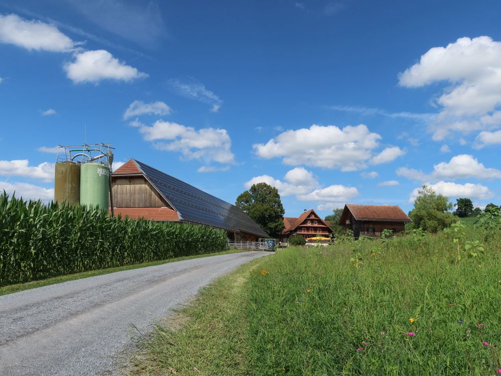 Bauernhof Islikon