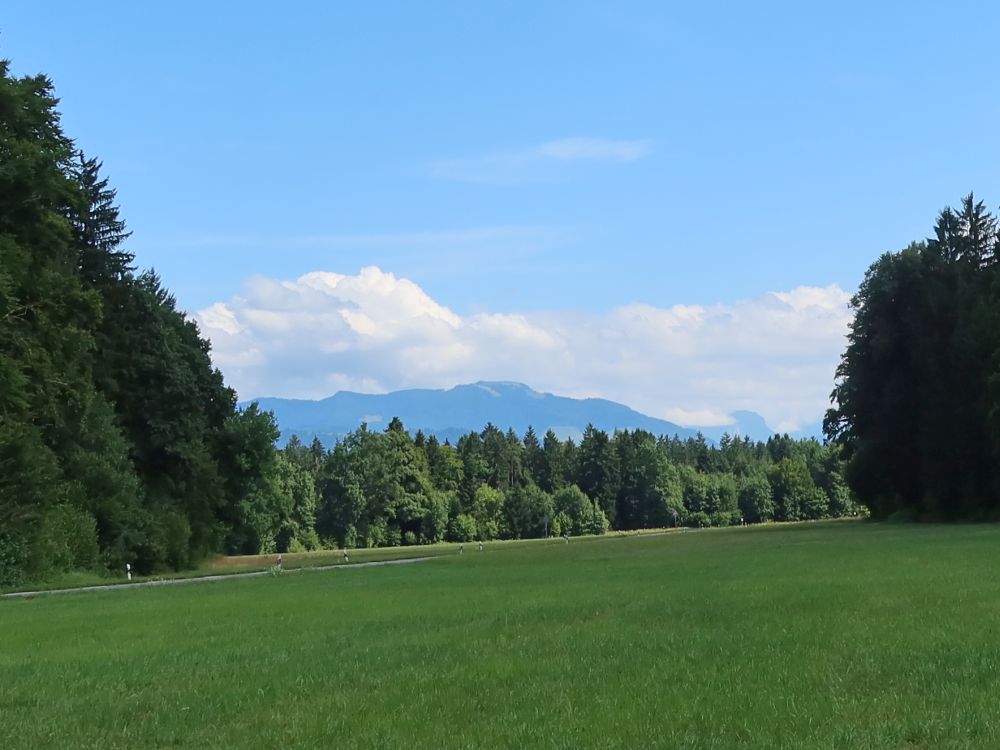 Blick Richtung Wildspitz
